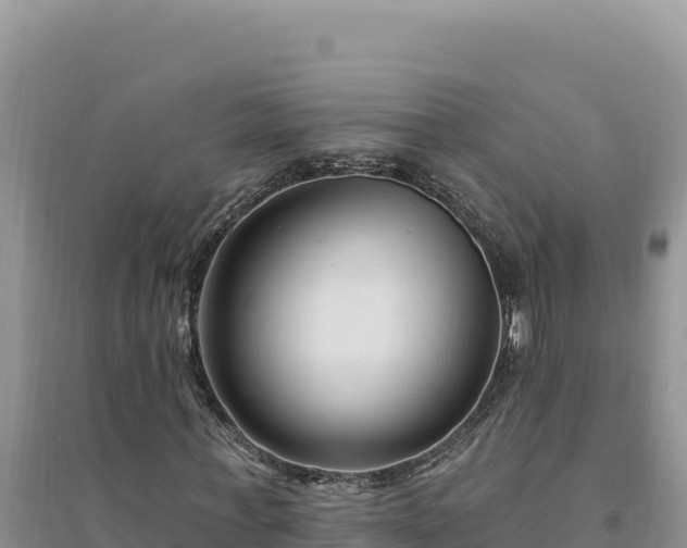 X0000094350771200711091451