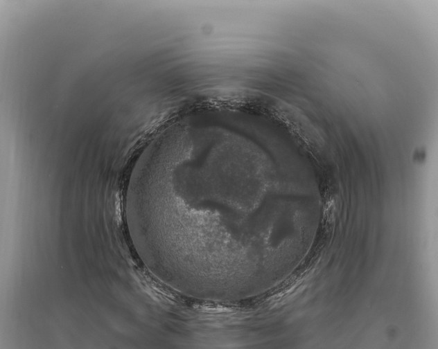 X0000094350772200711091451