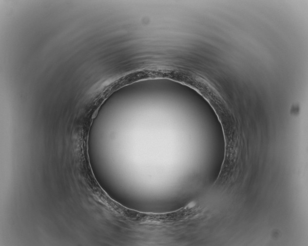 X0000094350773200711091451