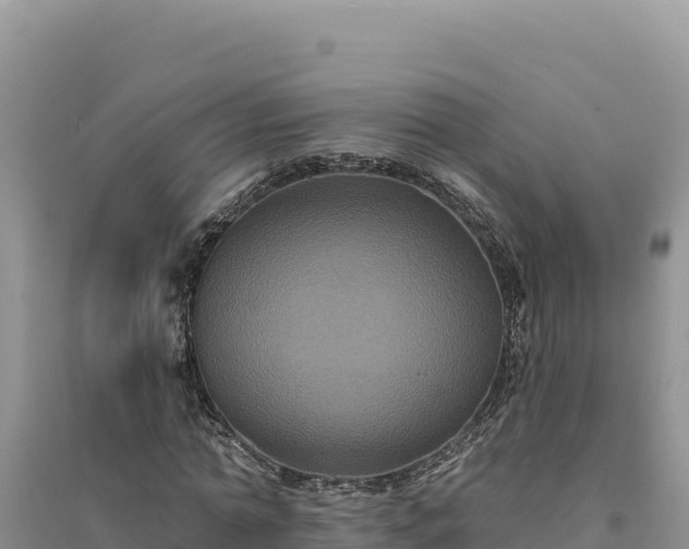 X0000094350774200711091451