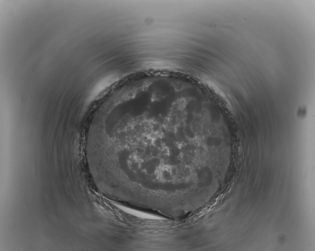 X0000094350775200711091451