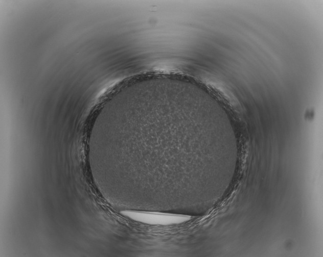 X0000094350776200711091451