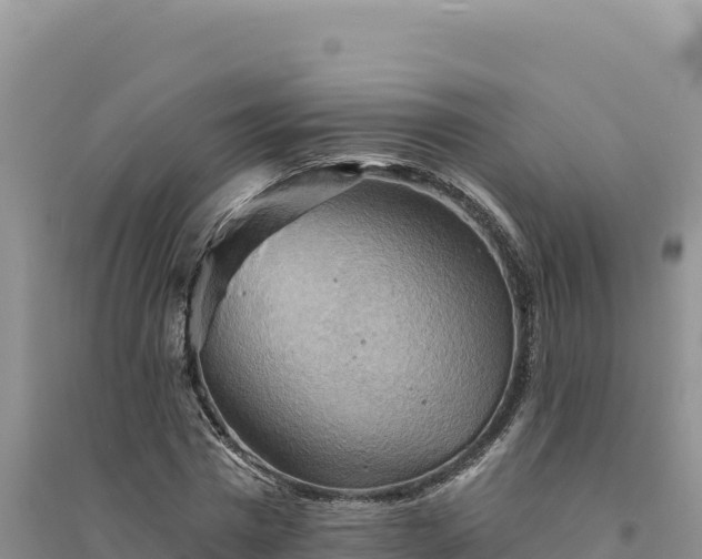 X0000094350777200711091451