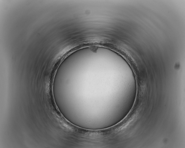 X0000094350778200711091451