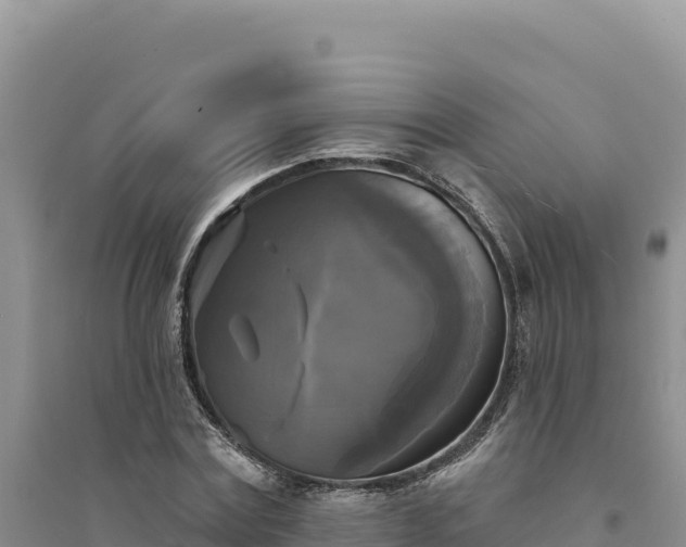 X0000094350779200711091451