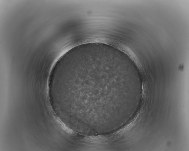 X0000094350780200711091451