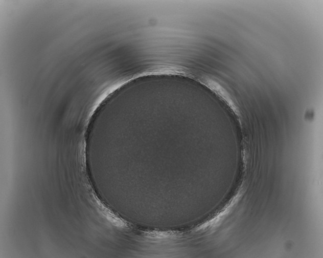 X0000094350781200711091451