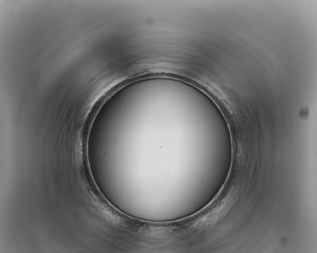 X0000094350782200711091451