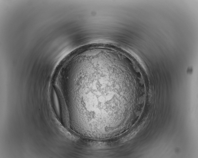 X0000094350783200711091451