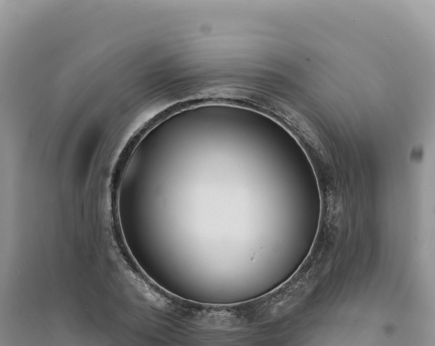 X0000094350784200711091451