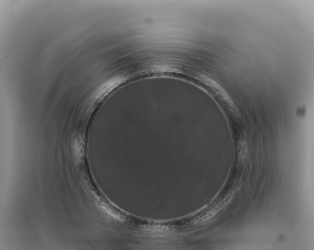 X0000094350785200711091451