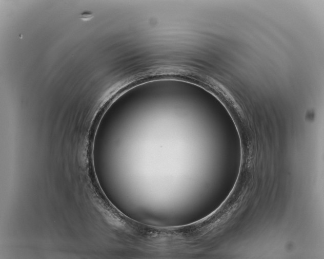 X0000094350786200711091451