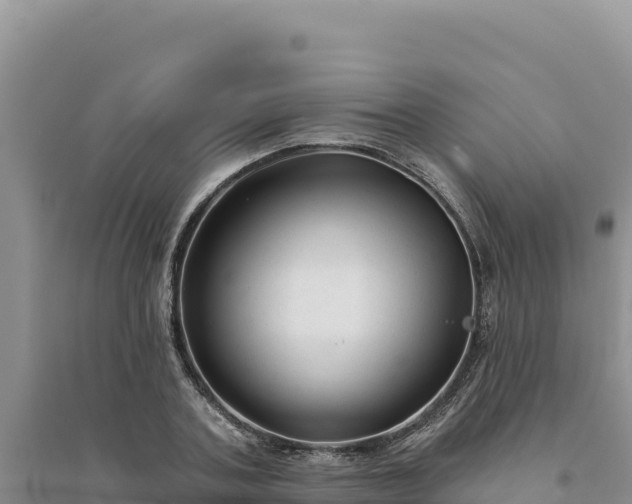 X0000094350787200711091451