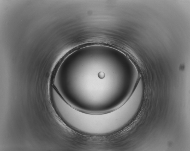 X0000094350788200711091451