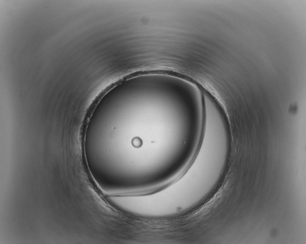 X0000094350789200711091451