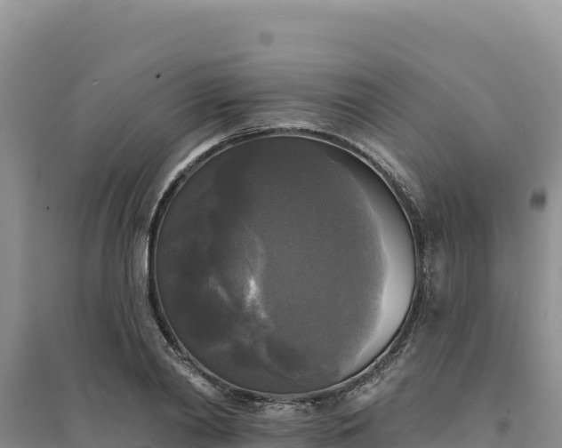 X0000094350790200711091451