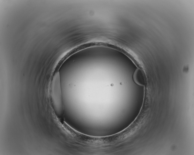 X0000094350791200711091451