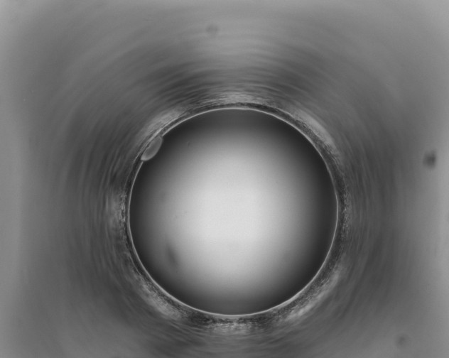 X0000094350793200711091451