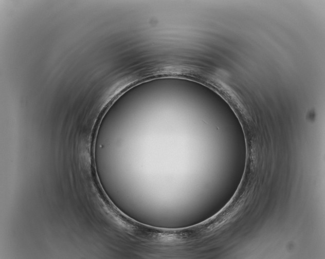 X0000094350794200711091451