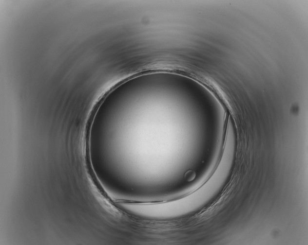 X0000094350795200711091451