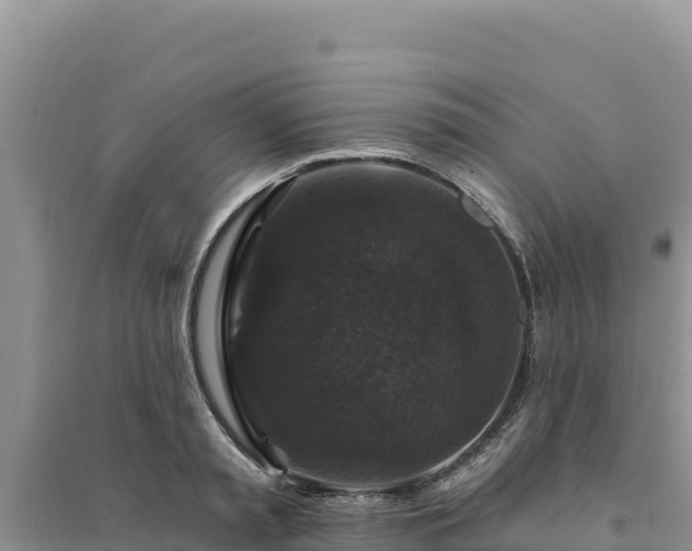 X0000094350797200711091451