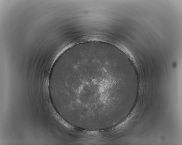 X0000094350798200711091451