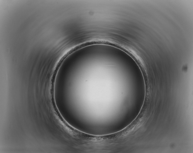 X0000094350799200711091451