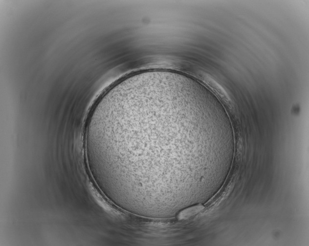 X0000094350800200711091451