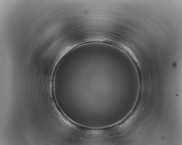 X0000094350802200711091451