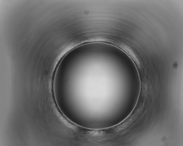 X0000094350805200711091451