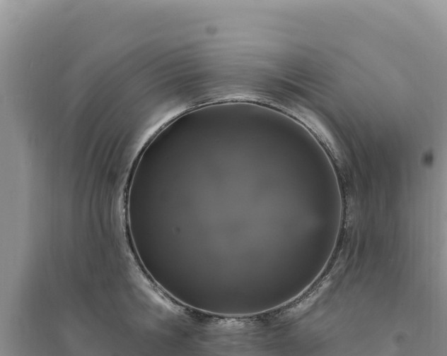 X0000094350806200711091451