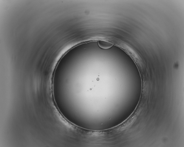 X0000094350808200711091451