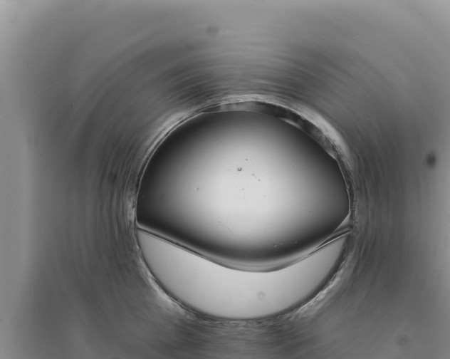 X0000094350809200711091451