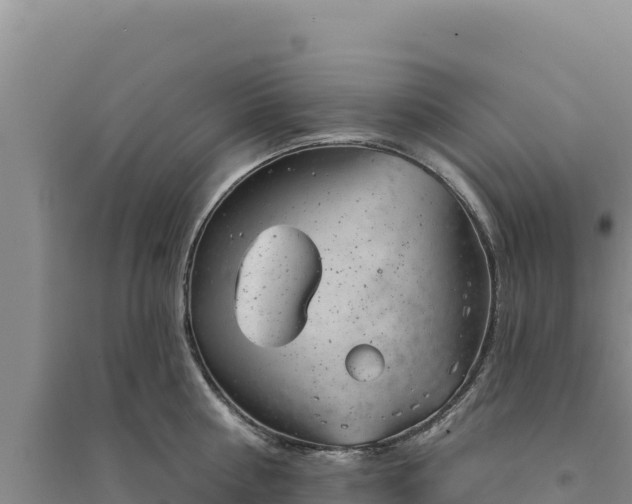 X0000094350810200711091451