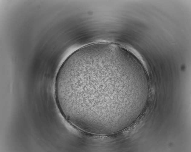 X0000094350811200711091451