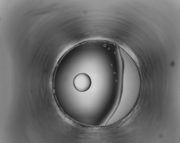 X0000094350813200711091451