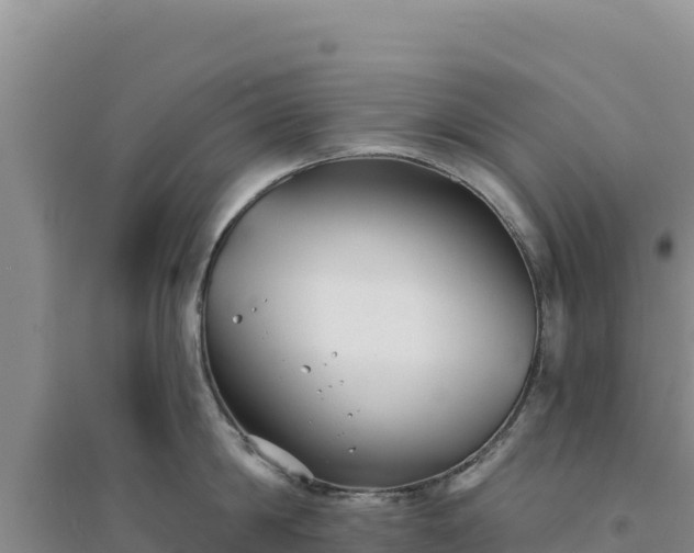 X0000094350814200711091451