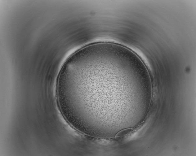 X0000094350815200711091451