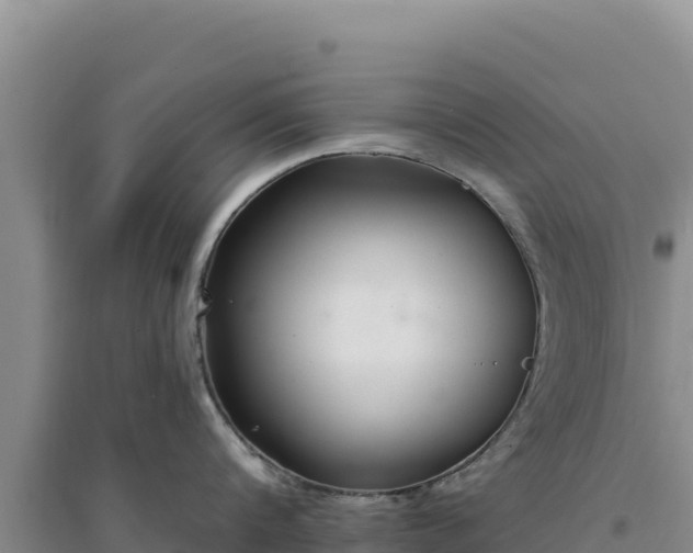 X0000094350816200711091451