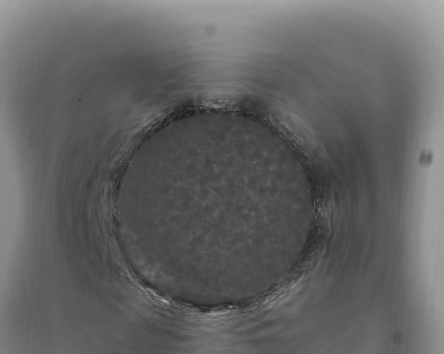 X0000094350817200711091450