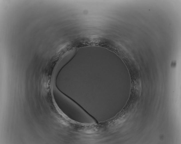 X0000094350818200711091450