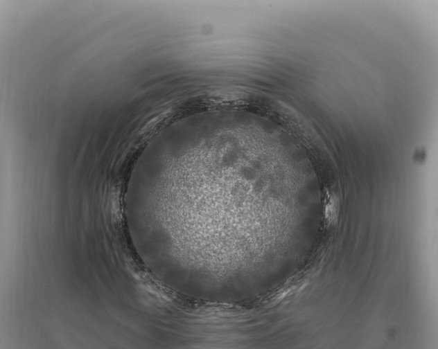 X0000094350819200711091450