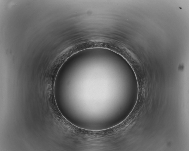 X0000094350821200711091450