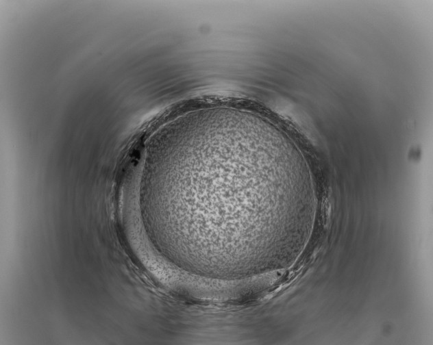 X0000094350822200711091450