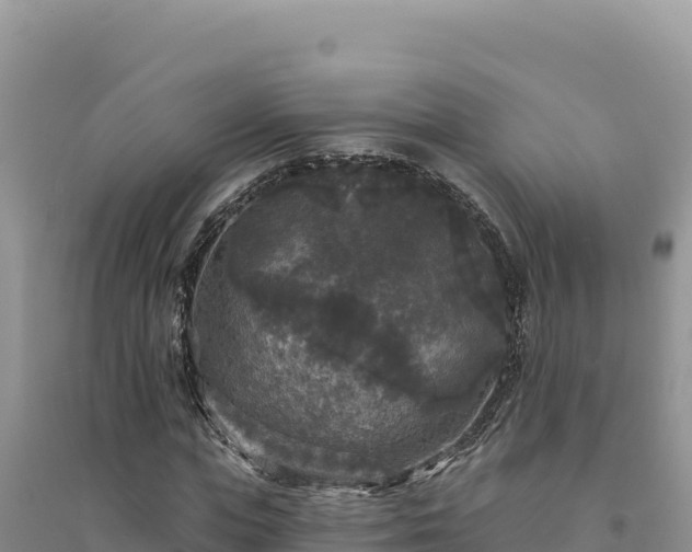 X0000094350823200711091450