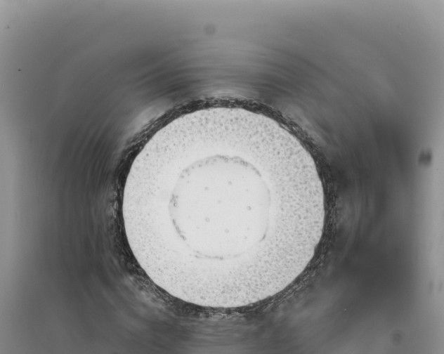 X0000094350824200711091450