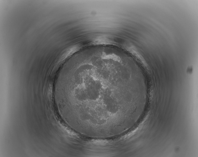 X0000094350825200711091450