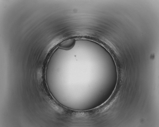 X0000094350826200711091450