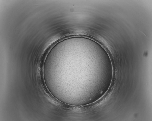 X0000094350827200711091450