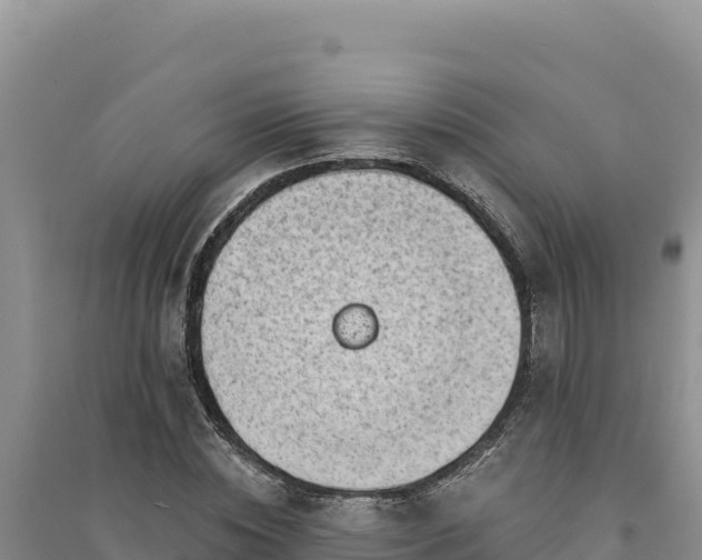 X0000094350828200711091450